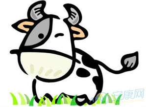 属鸡女性格优点缺点和属牛女性格优缺点分别是什么？