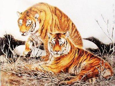 2026年属虎11月份运势具体如何？