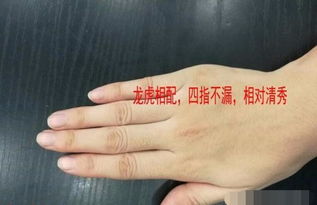 川字掌女性群体的性格特征与婚姻关系状况解析
