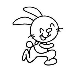 生肖兔：温文尔雅的木火之韵