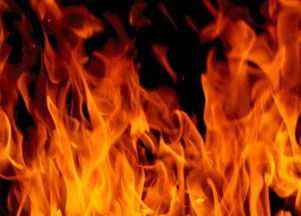 请问有没有同时包含木火土元素，且八字中两土两木三火一金的？