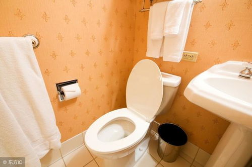 六、卫生间清洁：祛除秽气与维护家人健康