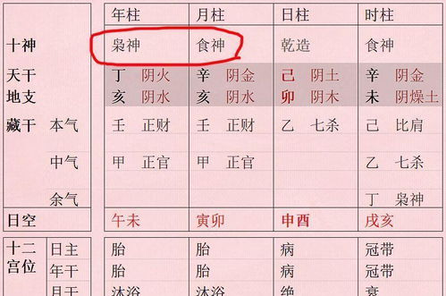 （二） 制衡带来的性格重塑