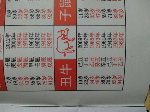 1949年出生的人属什么生肖？这个生肖有什么特殊含义？