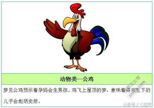 孕妇梦见螳螂预示着什么是生男孩还是女孩的征兆呢？