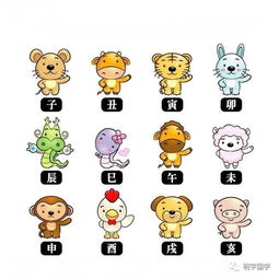 天上动物和蹦蹦跳跳的动物分别属于哪个生肖？