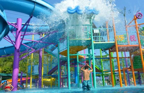 菏泽水上乐园：花钱买罪受の魔幻现实主义体验