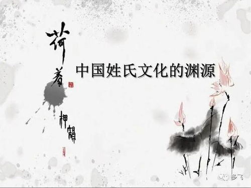 姓名文化的传承