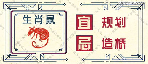 2026年8月5日属相相合吉日宜嫁娶、出行
