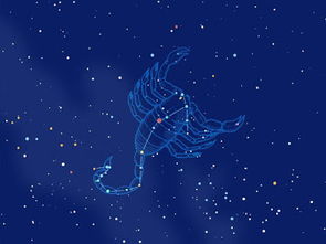 属鸡天蝎座2026年农历十二月运势如何？属鸡的天蝎座今年以后运势会怎样？