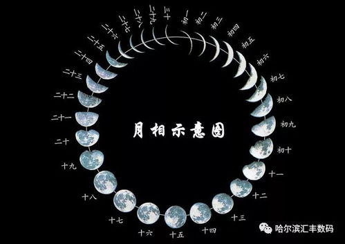 2026年农历八字配对，能否告诉我与月亮相配的名字是什么？