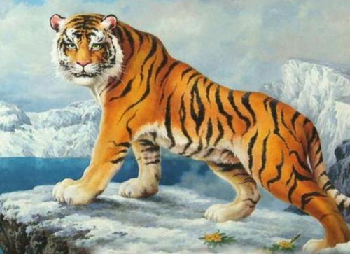 凶猛生肖是哪个？凶狠野兽属什么生肖？