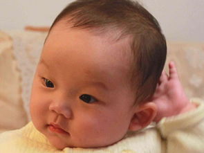 二、 生理学视角