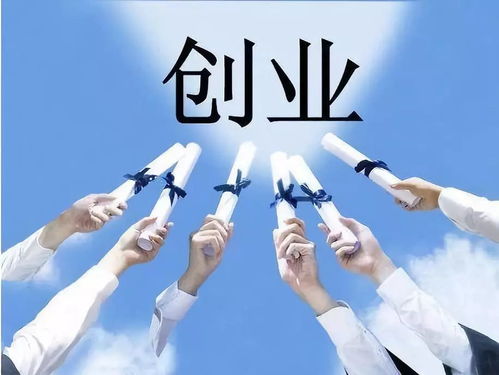 政府补助：机遇与风险因素并存