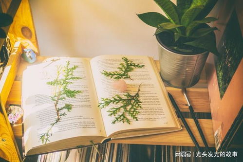 二、  君臣佐使：阅读内容的系统性配置