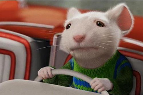 津津乐道是哪个生肖？这个生肖有什么特点？