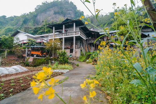 探寻哀牢山深处：一场勇敢者的游戏