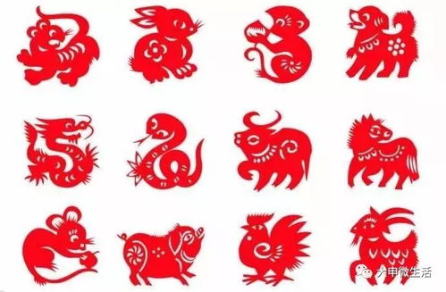 十二生肖的繁衍时间是如何形成的，其背后有什么历史渊源？