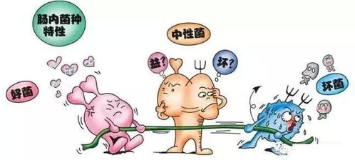 益生菌，让肠道菌群平衡