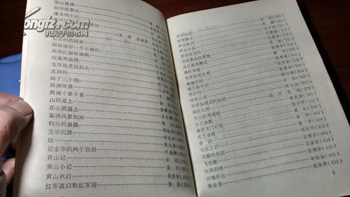 ：现代社会语境下的信仰重构与精神寻求