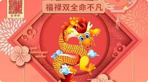 二、 属龙女性群体：天赋财富有与顺畅情感
