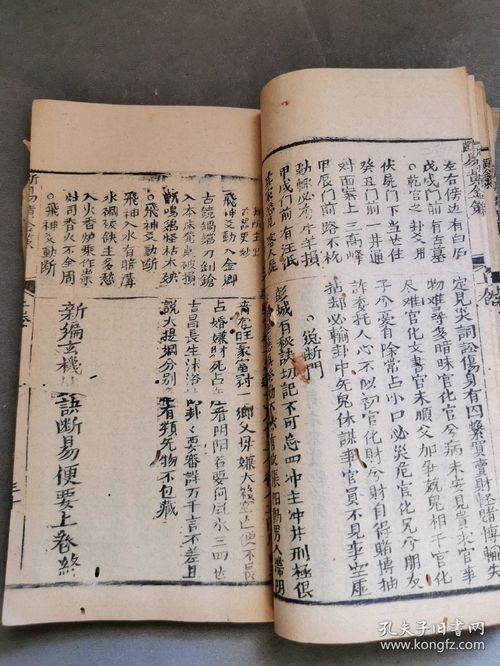 三、 综合评析：从文字到生命状态的跨学科映射