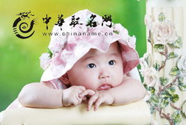 属虎双胞胎宝宝起名，有没有既符合阮氏文化又寓意虎虎生威的名字推荐？