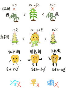 五、情感随笔——给名字添点温度！