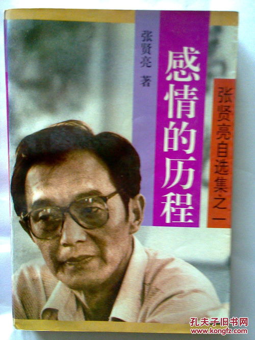 历史案例分析：东晋十七岁实际掌权者