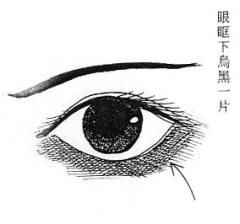 二、 眼眶凸出对应的性格特征解析