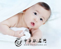 兔年的象征意义