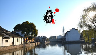 为什么要去西塘？别被那些滤镜蒙蔽了双眼