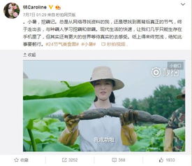 名字背后的意境