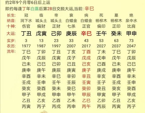 请问八字中两个子两个未的组合，有什么特殊含义或影响？
