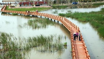 呼口湿地公园门票优惠套餐：一场说走就走的“坑爹”之旅