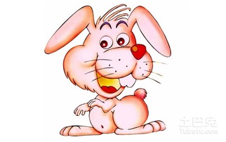 属兔人的命运财运如何，尤其是十一月财运意味着什么？