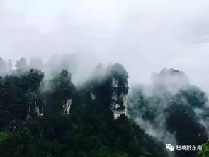 别再去人挤人的古镇了！施秉高碑的“古碑会说话”，你听过吗？