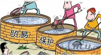 一、 关于贸简单简单公司名称的系统化参考