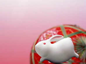 属兔男性格如何改变命运？属兔和属牛性格相似意味着什么？