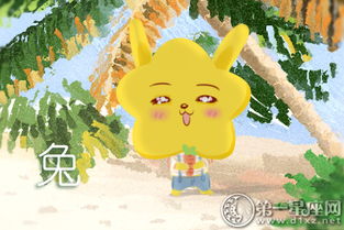 属猪女方和属兔男方结婚，孩子也属兔，这样的婚姻组合好吗？