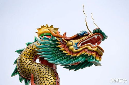 震惊！属龙人碰上这几个生肖，直接原地起飞！