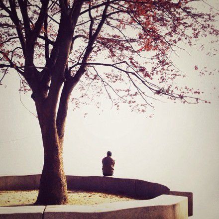 牛年的沉默负重