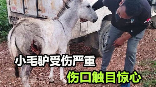令人费解的遭遇
