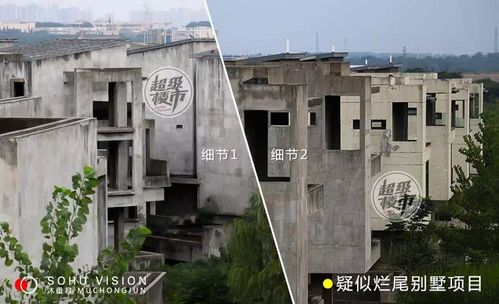 南京汤山紫清湖的“品质套餐”：温泉+动物园=亲子游？数据告诉你真实相