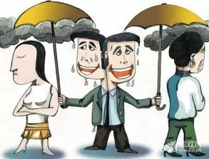 1. 细节观察与情感投射