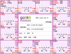 什么是十年大运详解？请详细解释一下这个概念。