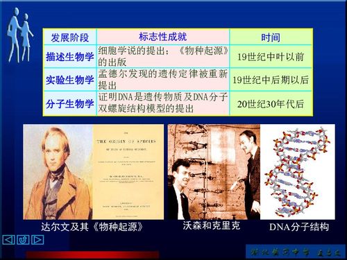 ：国学视野下的姑获鸟与其文化隐喻