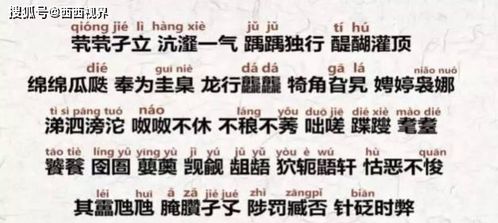 B. 生僻字—写错率直逼 100%