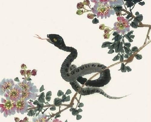 1965年属蛇人在2026年会遇到哪些事业上的变化和机遇？