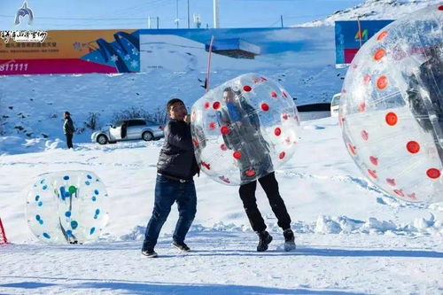 去年冬天 我差点主要原因是一场暴风雪被困在乌鲁木齐机场，但正是这场意外让我邂逅了阿勒泰那片纯净的雪原——一个用手机镜头就能拍出明信片的地方。